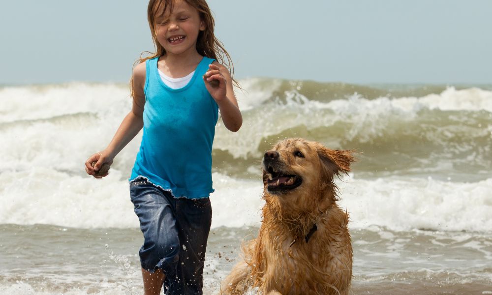 Familievakantie met hond in Nederland aan zee